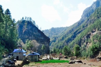 The Sherpa houses and their garden in Khumbu.