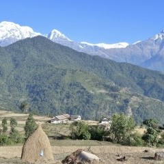 Poon Hill Trek: A Paradise for Nature Lovers